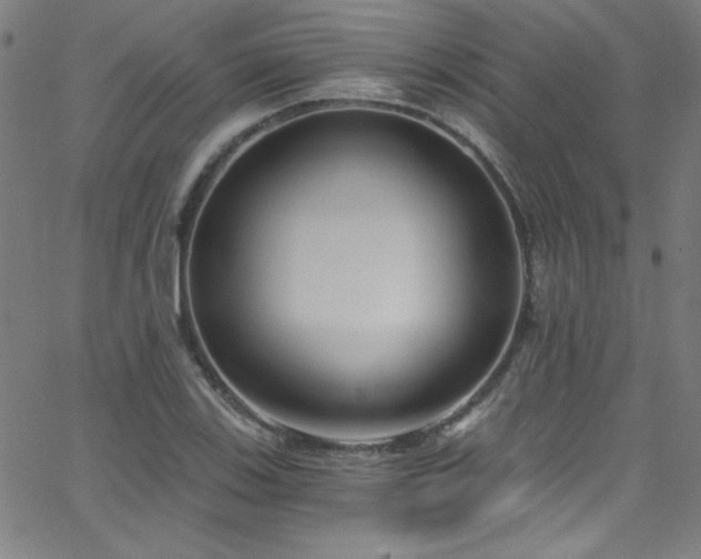 X0000068731123200604281132