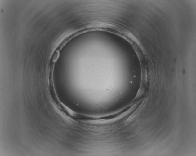 X0000068731124200604281132