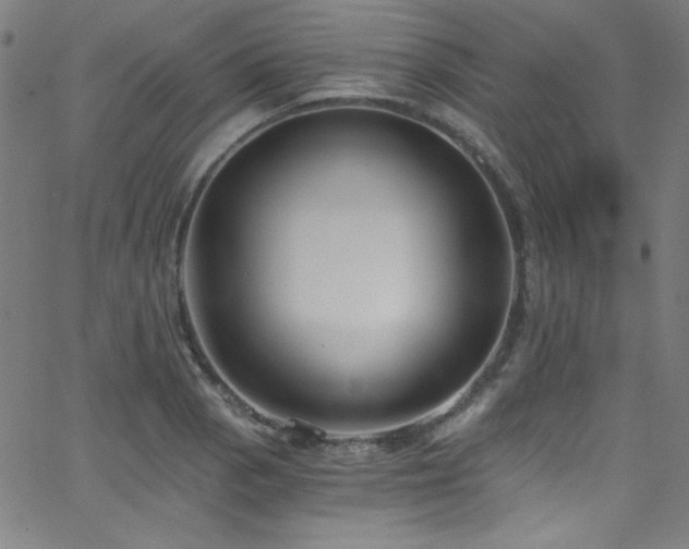 X0000068731129200604281132