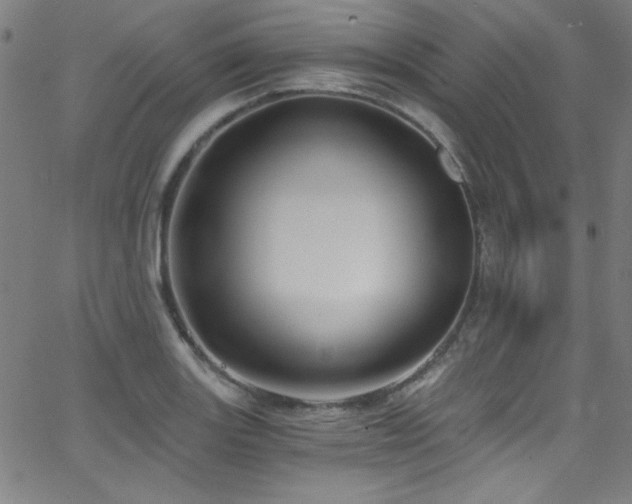 X0000068731131200604281132