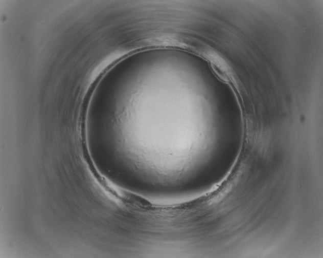 X0000068731141200604281132