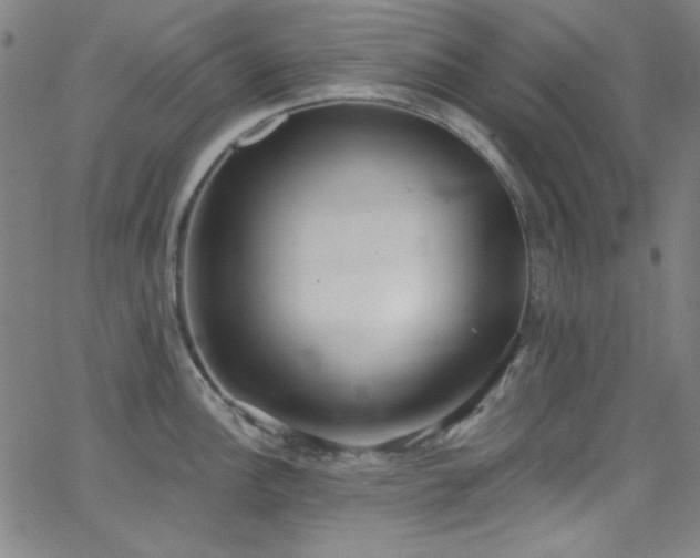 X0000068731148200604281132