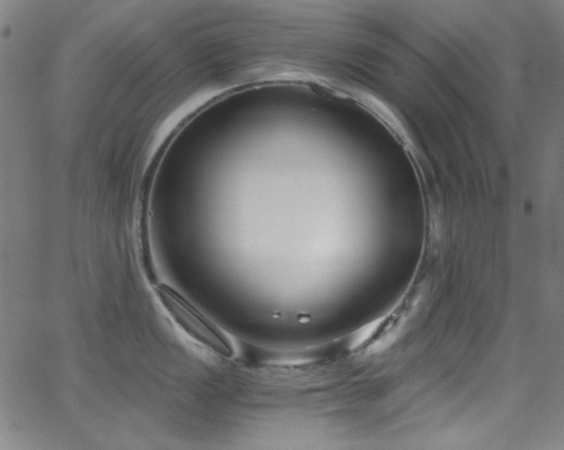X0000068731149200604281132