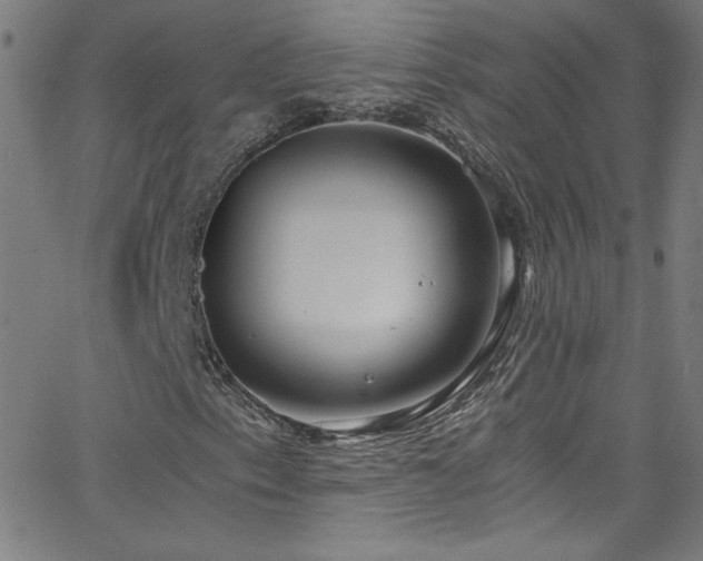 X0000068731153200604281131