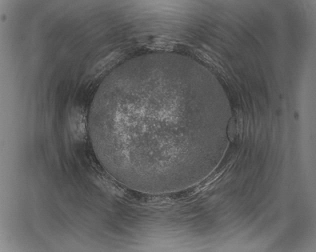 X0000068731154200604281131