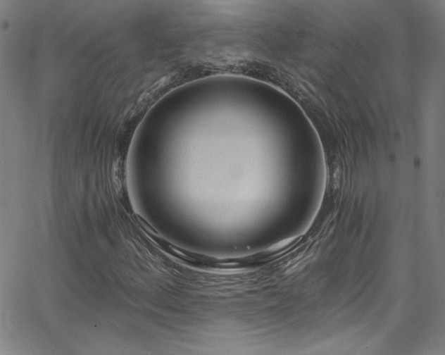X0000068731156200604281131