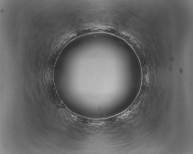 X0000068731157200604281131
