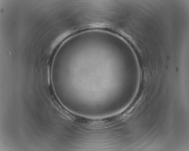 X0000068731171200604281131