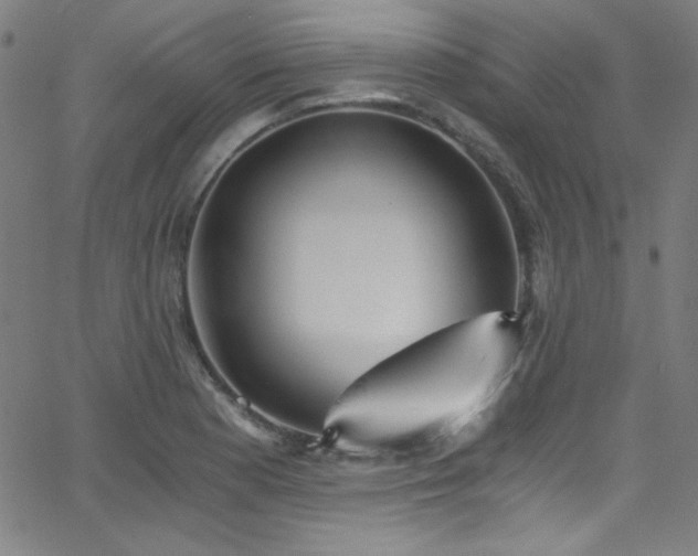 X0000068731177200604281131