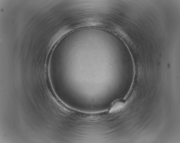 X0000068731178200604281131