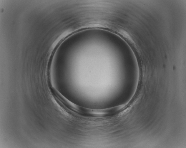X0000068731181200604281131
