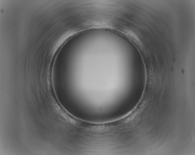 X0000068731182200604281131