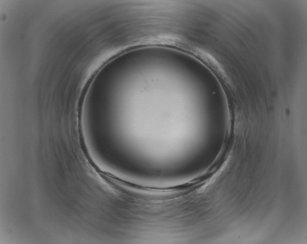 X0000068731184200604281131