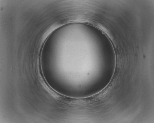 X0000068731187200604281131