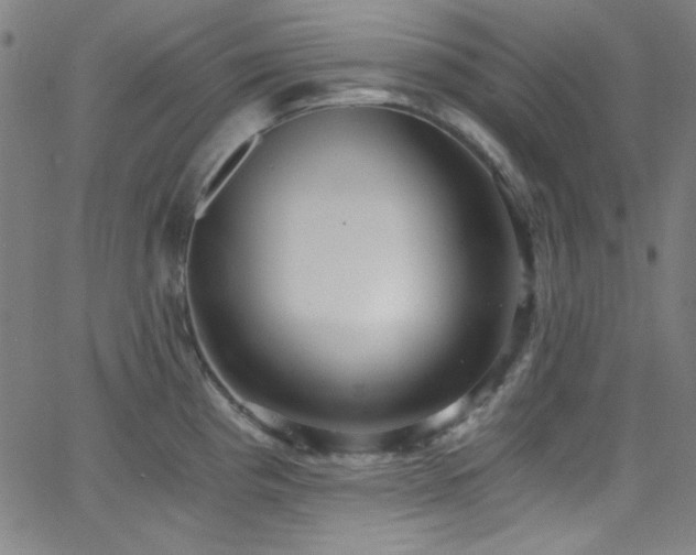 X0000068731193200604281131