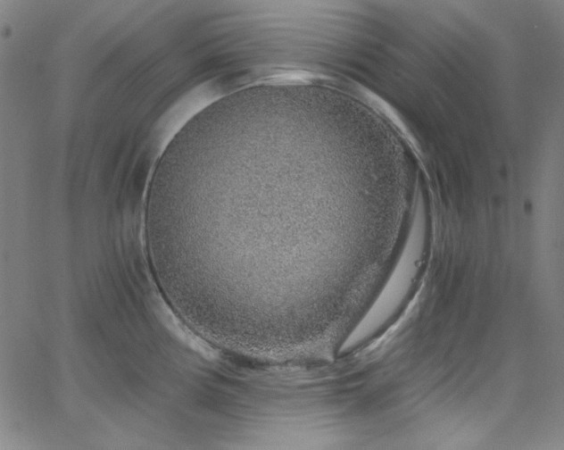 X0000068731194200604281131