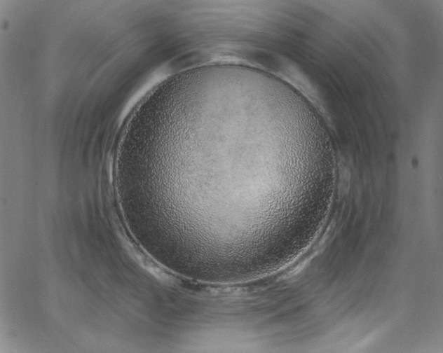 X0000068731198200604281131