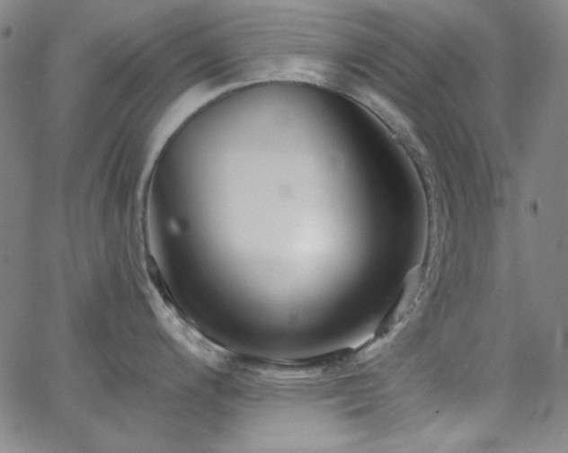X0000068731200200604281131