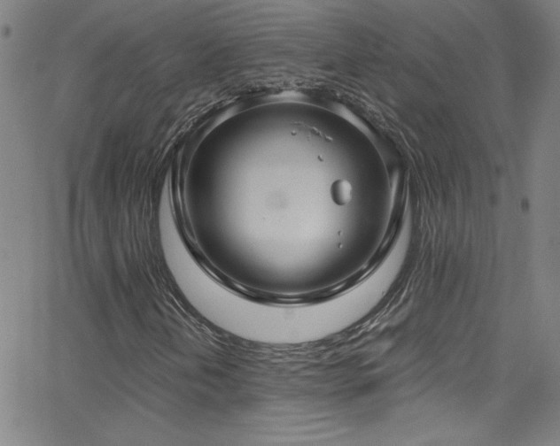 X0000068731202200604281130
