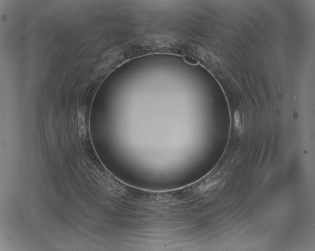 X0000068731203200604281130