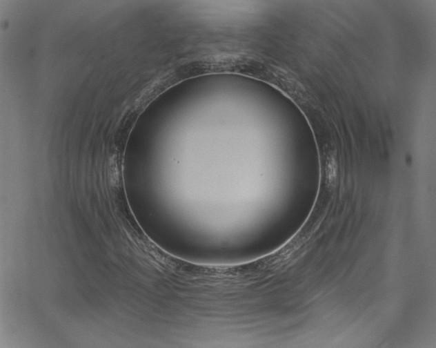 X0000068731204200604281130