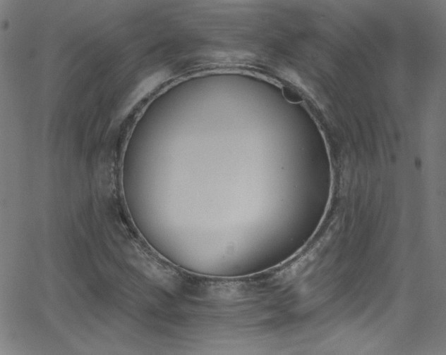 X0000068731211200604281130