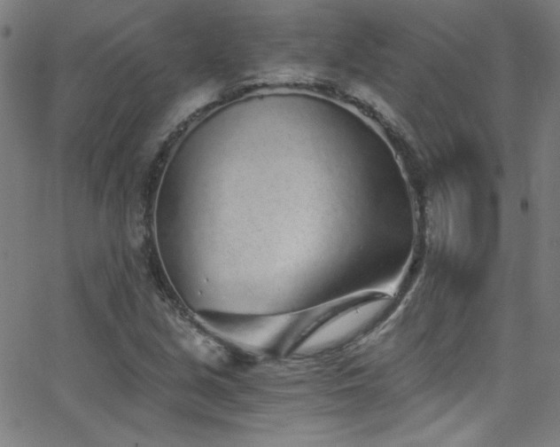 X0000068731213200604281130