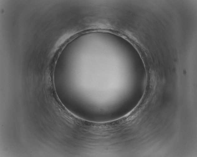 X0000068731215200604281130