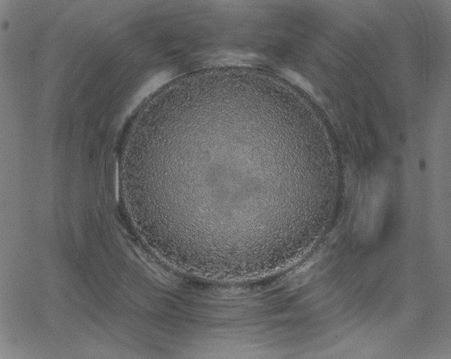 X0000068731219200604281130