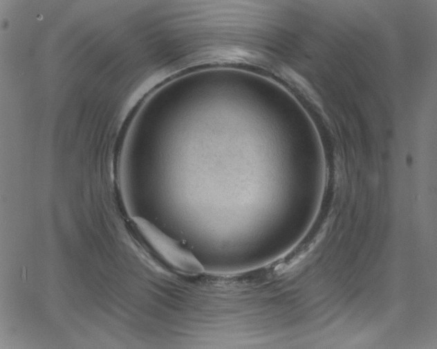 X0000068731226200604281130