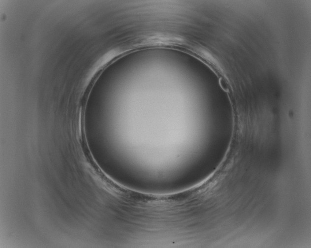 X0000068731227200604281130
