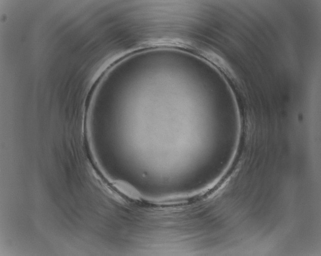 X0000068731228200604281130