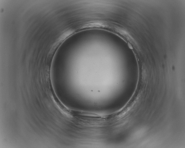 X0000068731233200604281130