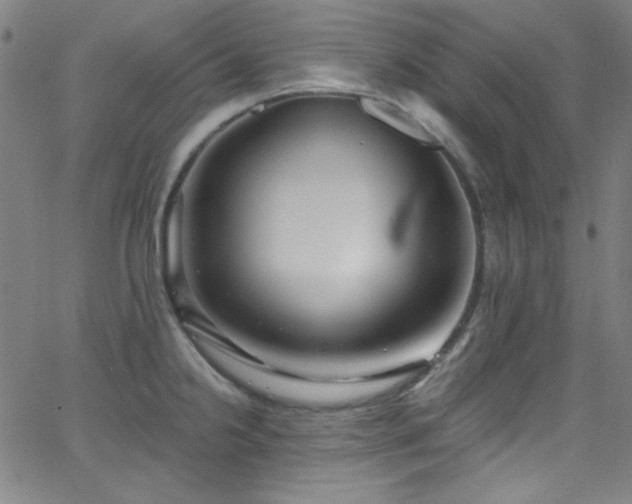 X0000068731238200604281130