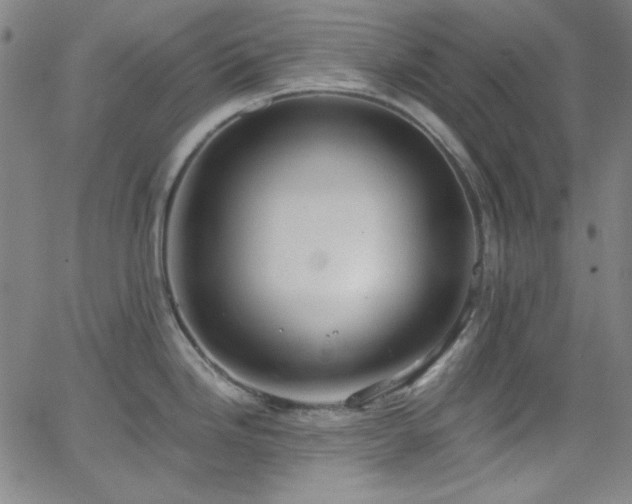 X0000068731246200604281131