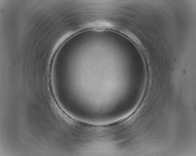 X0000068731248200604281131