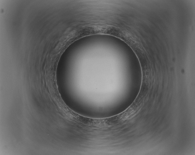 X0000068731249200604281130