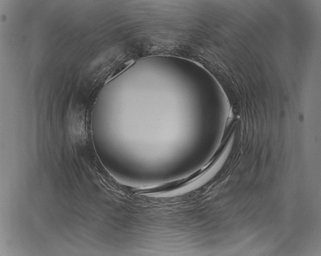 X0000068731250200604281130