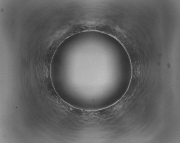 X0000068731253200604281130