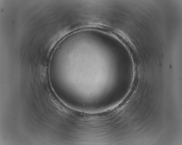 X0000068731260200604281130