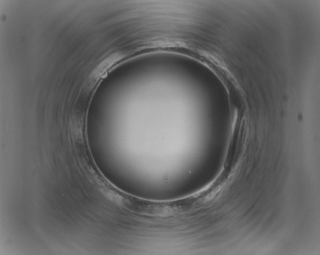 X0000068731273200604281129