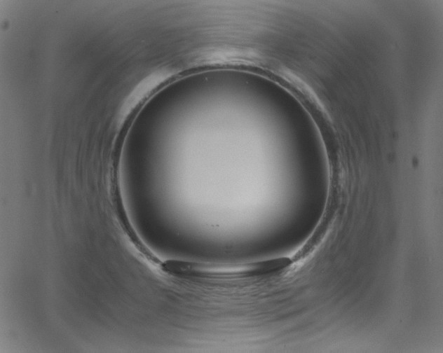 X0000068731277200604281129