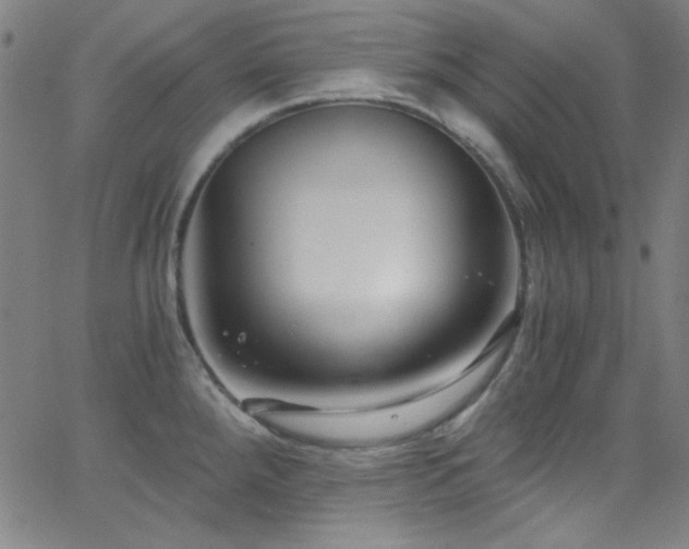 X0000068731288200604281129