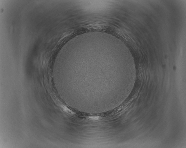 X0000068731297200604281128