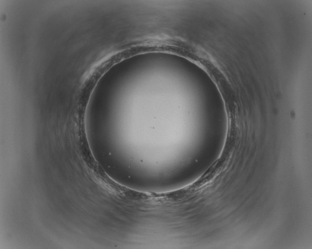 X0000068731304200604281128
