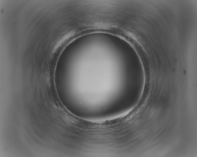X0000068731307200604281128