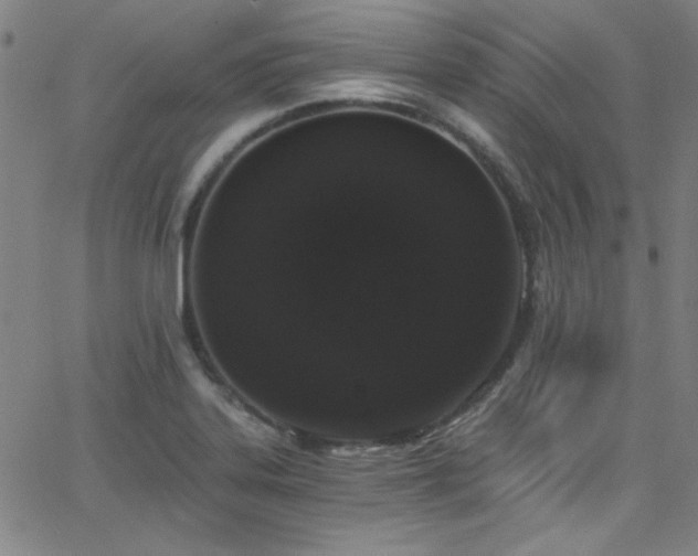X0000068731323200604281129