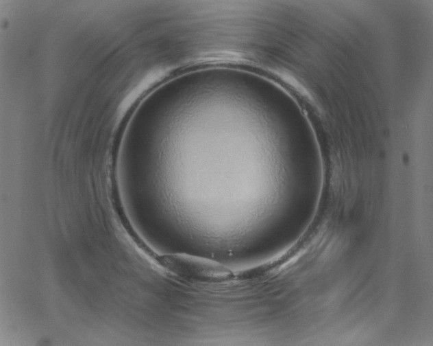 X0000068731325200604281129