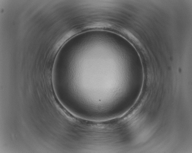 X0000068731329200604281129