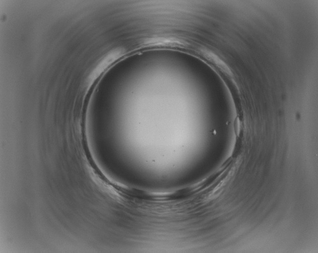 X0000068731330200604281129